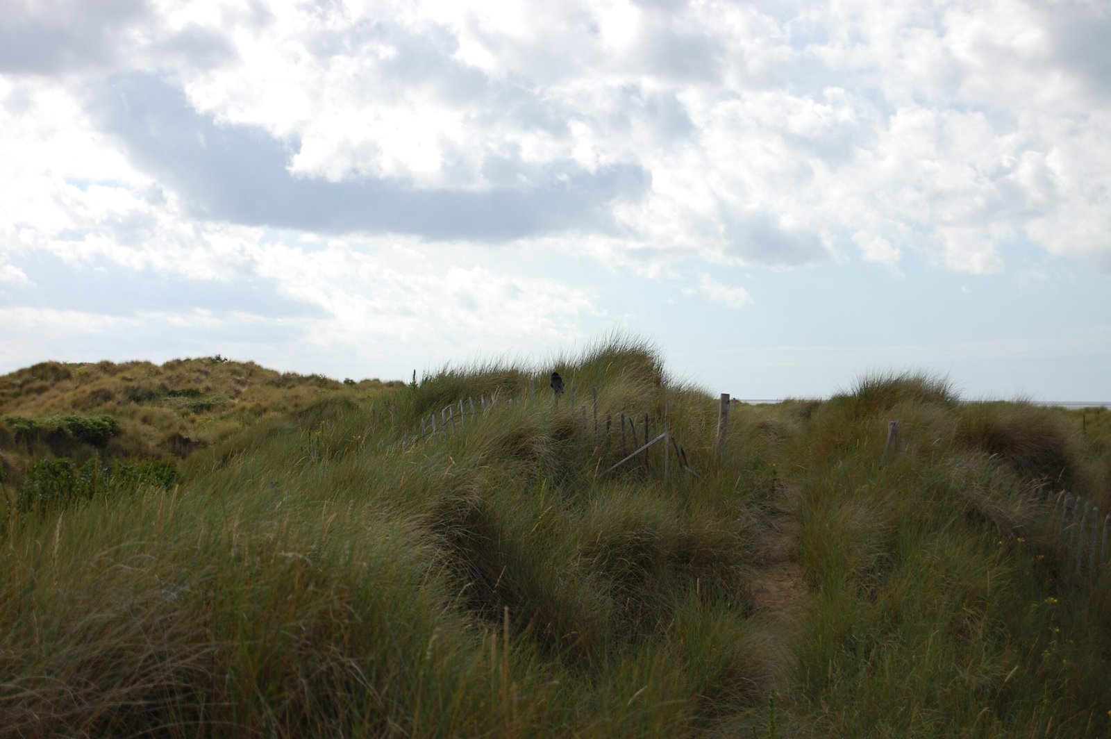 The Fan Brycheiniog In Wales