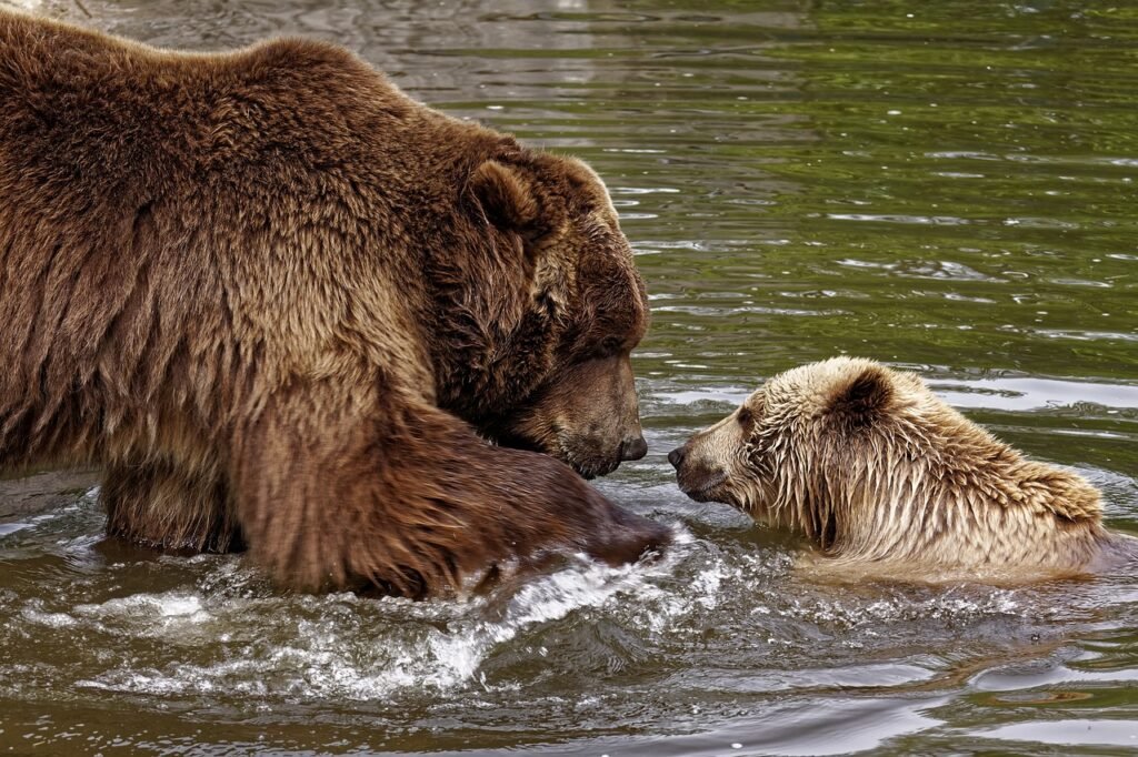 What Should I Do If I Encounter Wildlife While Hill Walking Or Rambling?