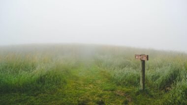 warren-doyle-knows-more-about-the-appalachian-trail-than-anyone-he-hates-what-its-become